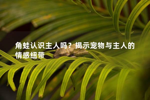 角蛙認識主人嗎？揭示寵物與主人的情感紐帶